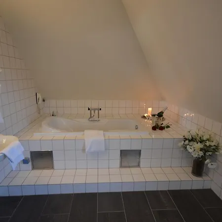 Hotel Danica Horsens