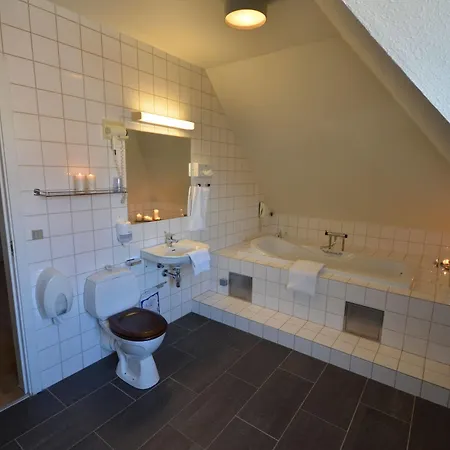 Danica Hotel 3*