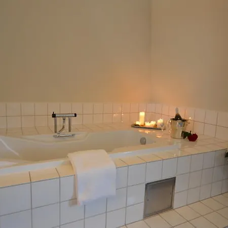 Hotel Danica Horsens